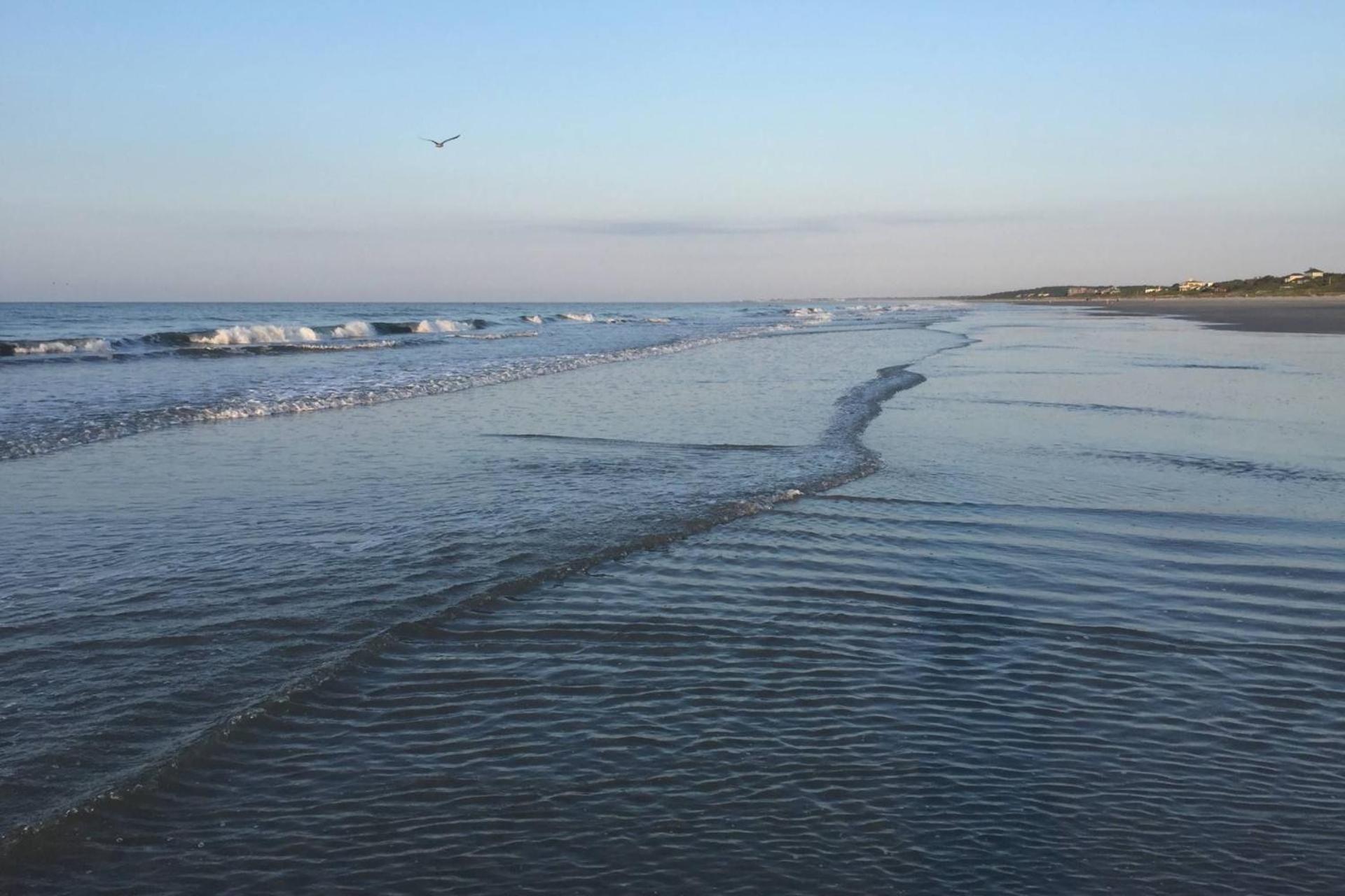 The Blue Pearl Villa Kiawah Island Ngoại thất bức ảnh